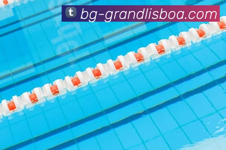 新葡京娱乐APP 封面图